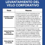 LEVANTAMIENTO DEL VELO CORPORATIVO. ALCANCE DEL CONTROL JUDICIAL