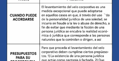 LEVANTAMIENTO DEL VELO CORPORATIVO. ALCANCE DEL CONTROL JUDICIAL