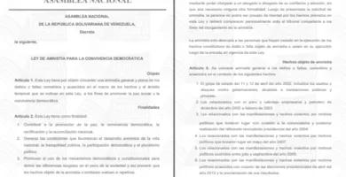 LEY DE AMNISTÍA PARA LA CONVIVENCIA DEMOCRÁTICA 2026 4 LEY DE AMNISTÍA PARA LA CONVIVENCIA DEMOCRÁTICA 2026