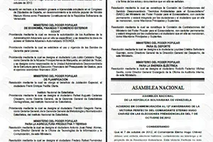 Gaceta Oficial Venezuela #42980 08/10/2024 13 Gaceta Oficial Venezuela