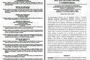 Gaceta Oficial #43028 13/12/2024 11 Gaceta Oficial