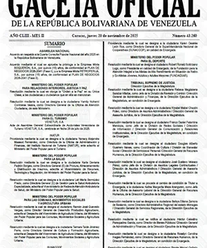 gaceta oficial 43260 20 11 2025